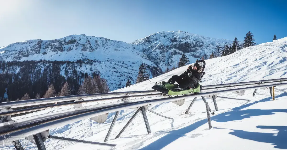 Adult male riding a modern two-person sled in a snowy mountain landscape with clear blue skies, suggesting winter midday conditions.