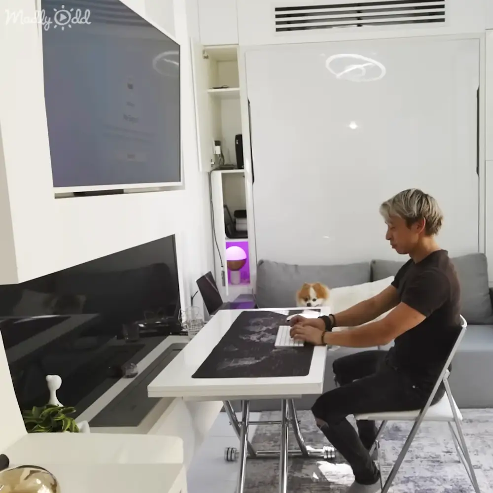 An adult male wearing a black t-shirt and pants works at a modern desk with a small Pomeranian dog nearby. The setting is a minimalist living room or home office with white furniture, a flat-screen TV, and natural light suggesting daytime in spring or summer.