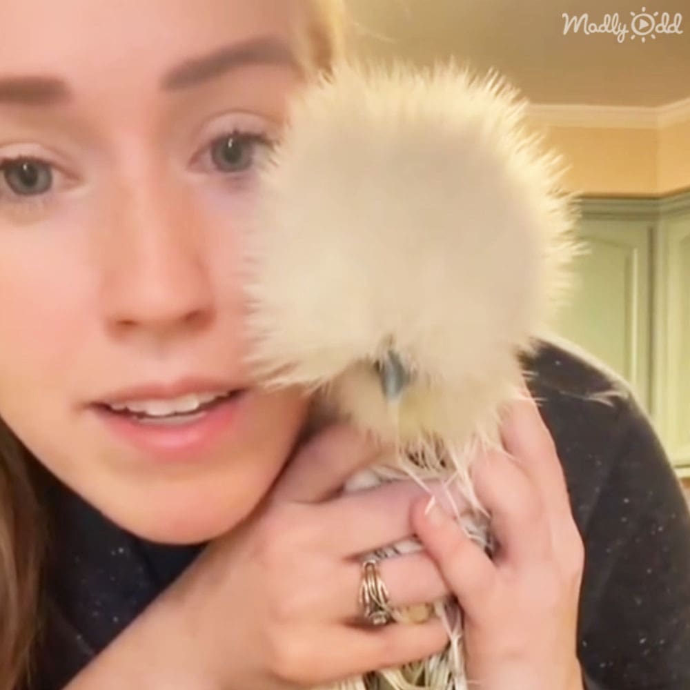 A young adult female holds a juvenile white bird with darker markings near the head, indoors in what appears to be a kitchen or dining area.