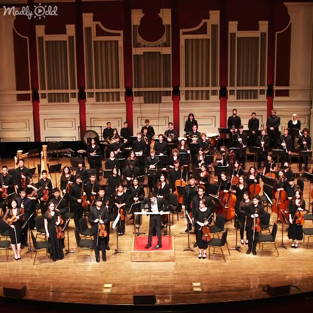 Large orchestra performing in an auditorium with adults wearing black dresses and dark suits, holding musical instruments under bright stage lighting.
