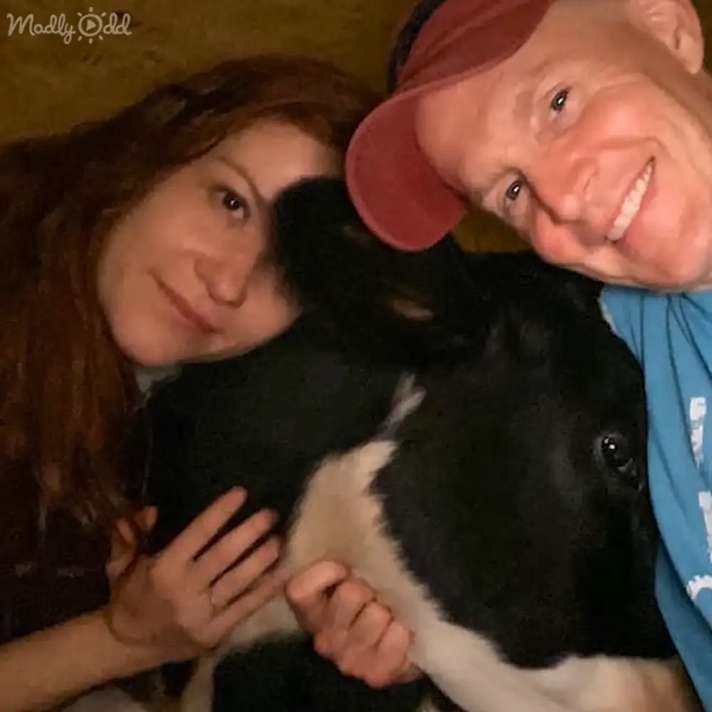 Adult female and male with juvenile Border Collie in indoor home setting, evening lighting.