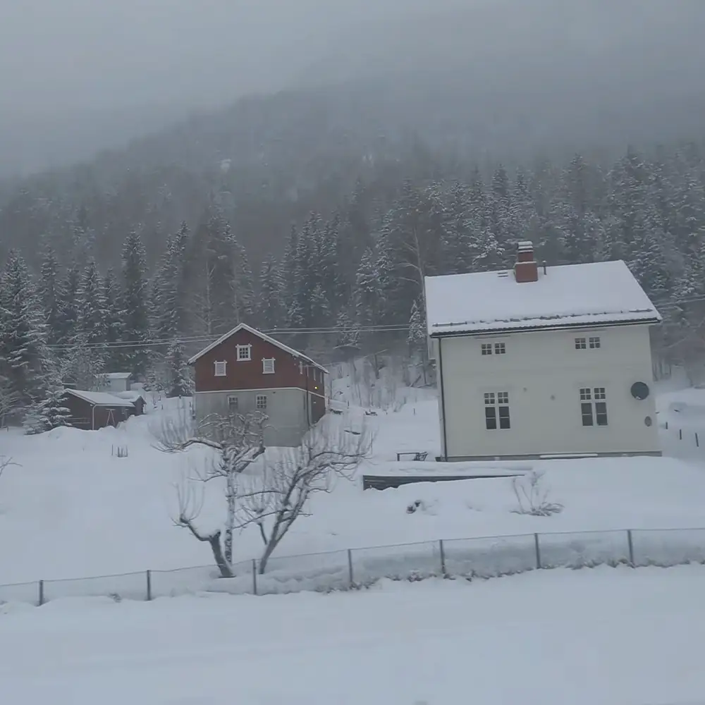 A serene winter landscape with snow-covered houses in a rural setting, dense evergreen trees, and foggy hills under an overcast daytime sky.