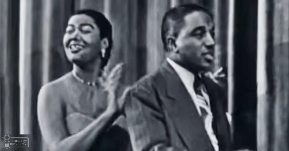 A musical duo performing on stage in front of an audience; one female wearing a sleeveless dress with a fitted bodice and flared skirt, another male in a dark suit with a patterned tie.