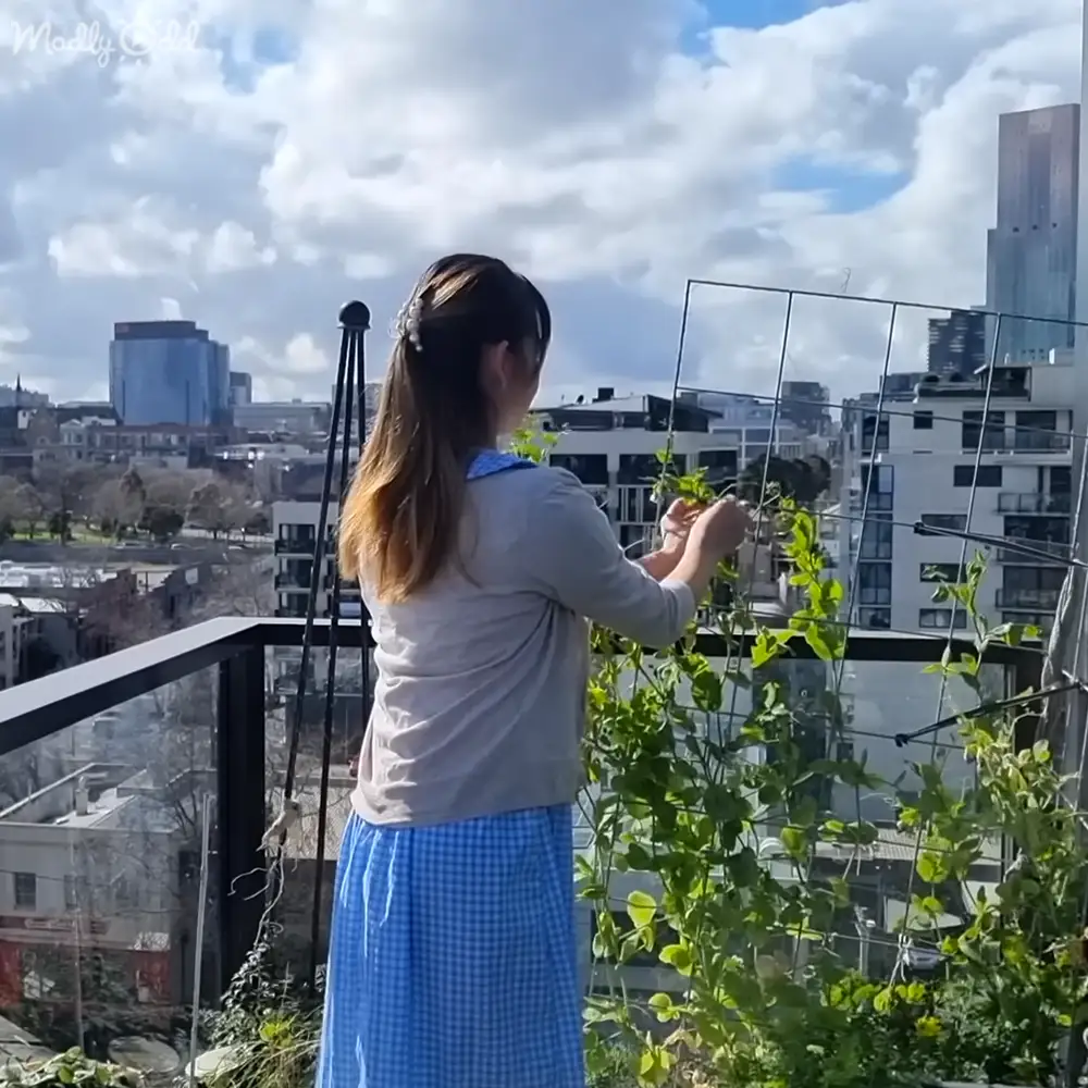 A young adult female wearing a light gray collared shirt and blue checkered skirt on an urban balcony with a view of buildings and trees, suggesting daytime mid-morning to afternoon in spring or early summer.