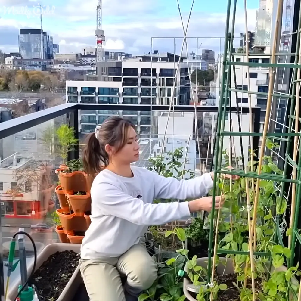 A young adult woman tends to potted plants on an urban balcony garden surrounded by tall buildings under a partly cloudy sky.
