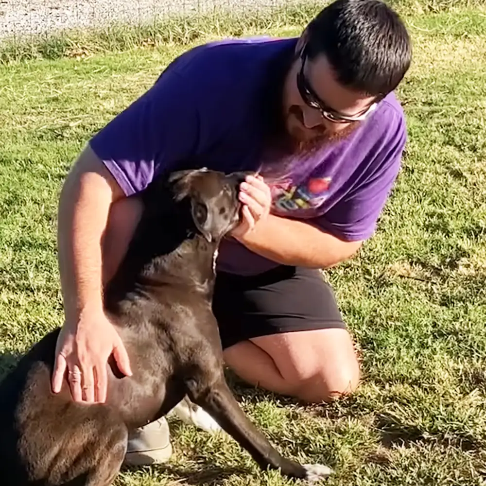 An adult male wearing a purple t-shirt and dark shorts interacts with a brown and white dog in an outdoor grassy area during spring or summer under natural daylight.