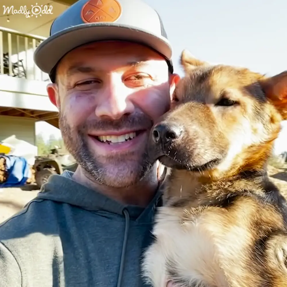 Adult male with German Shepherd mix dog in bright daylight outdoors on what appears to be a residential or rural area during spring or summer.