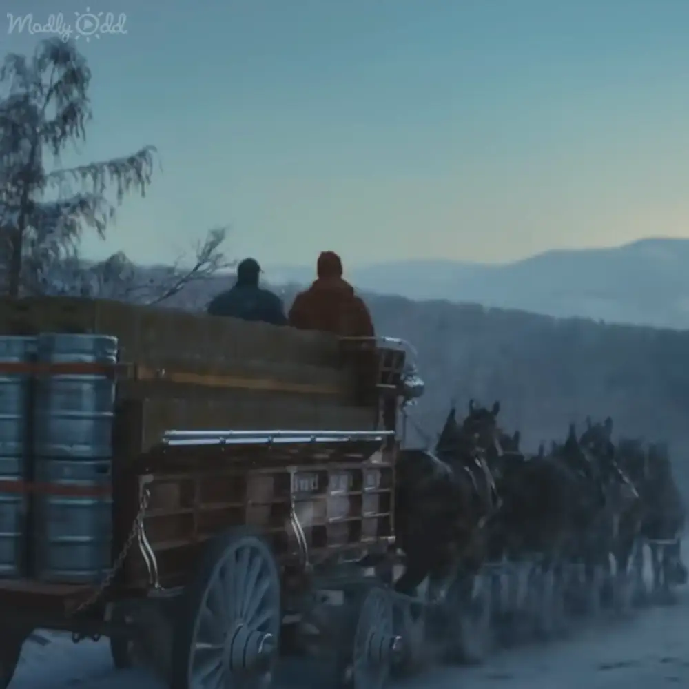 An adult male singer in a rural, mountainous winter scene with snow-covered ground and bare trees, wearing a dark-colored jacket or coat and riding a horse-drawn wagon.