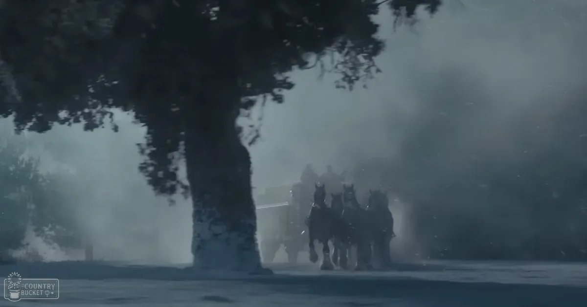 A horse-drawn carriage in a misty forest setting with two adults dressed in dark historical attire.