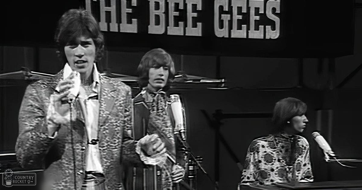 A musical group performing in a studio setting; young adult male and female singers wearing patterned silk or satin garments with gloves and accessories, sign reading "THE BEE GEES" visible.