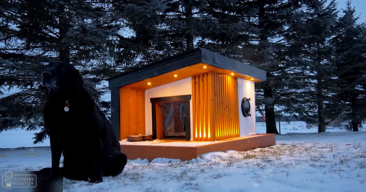 A large black Labrador Retriever stands in front of a modern orange-lit doghouse amidst snowy evergreen trees, suggesting winter evening conditions.