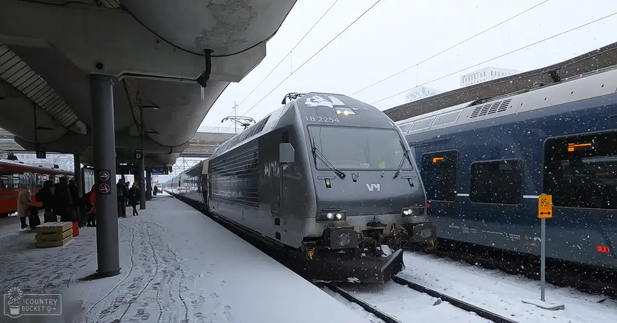 A winter scene at a train station with snow-covered ground, two modern electric trains on tracks, an adult female in a dark coat carrying a bag, and an older adult male in light-colored attire.