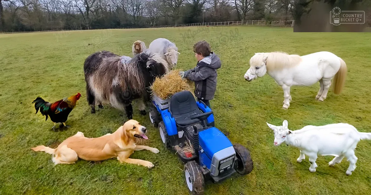 Child in a field with sheep, white pony, goat, golden retriever, and rooster among various animals under an open sky during late autumn or early spring.