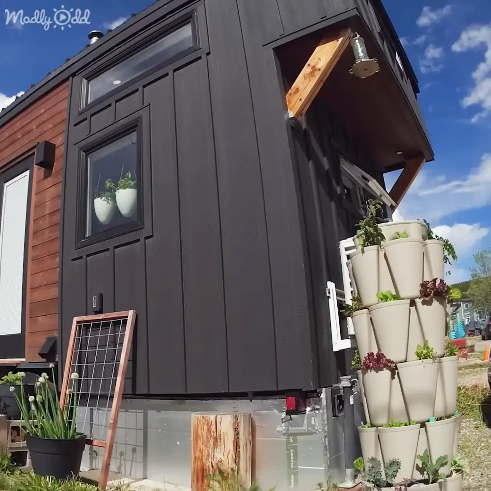 A tiny house with vertical garden pots, wooden frame, hanging light, and red-black solar panel in a clear-sky outdoor setting.