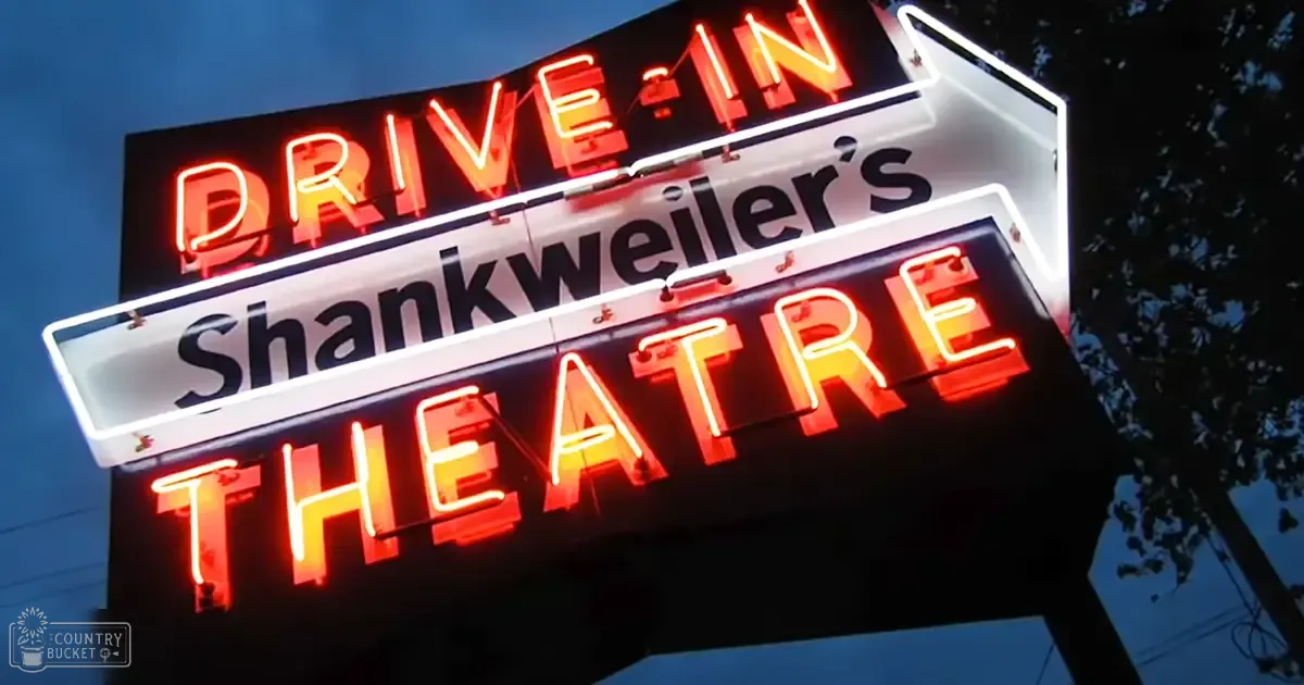 Neon sign reading "DRIVE-IN Shankweiler's THEATRE" at night, illuminated against a dark sky with red and black dominant colors