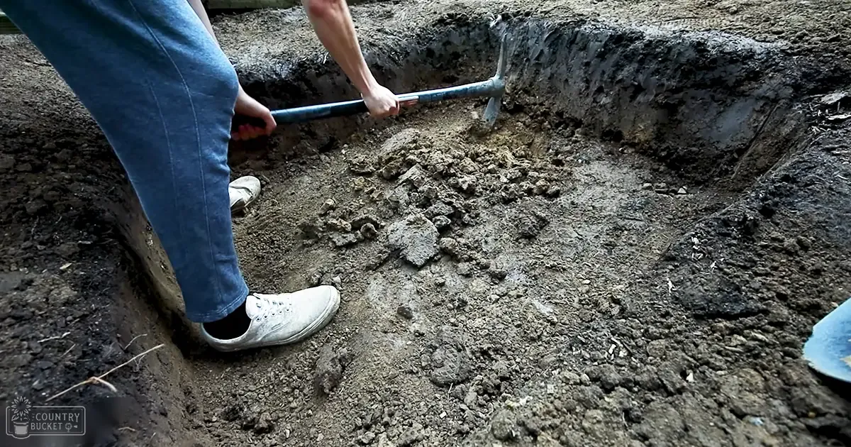 An adult male in blue jeans and white sneakers digging with a hoe outdoors on uneven dirt, under natural daylight.