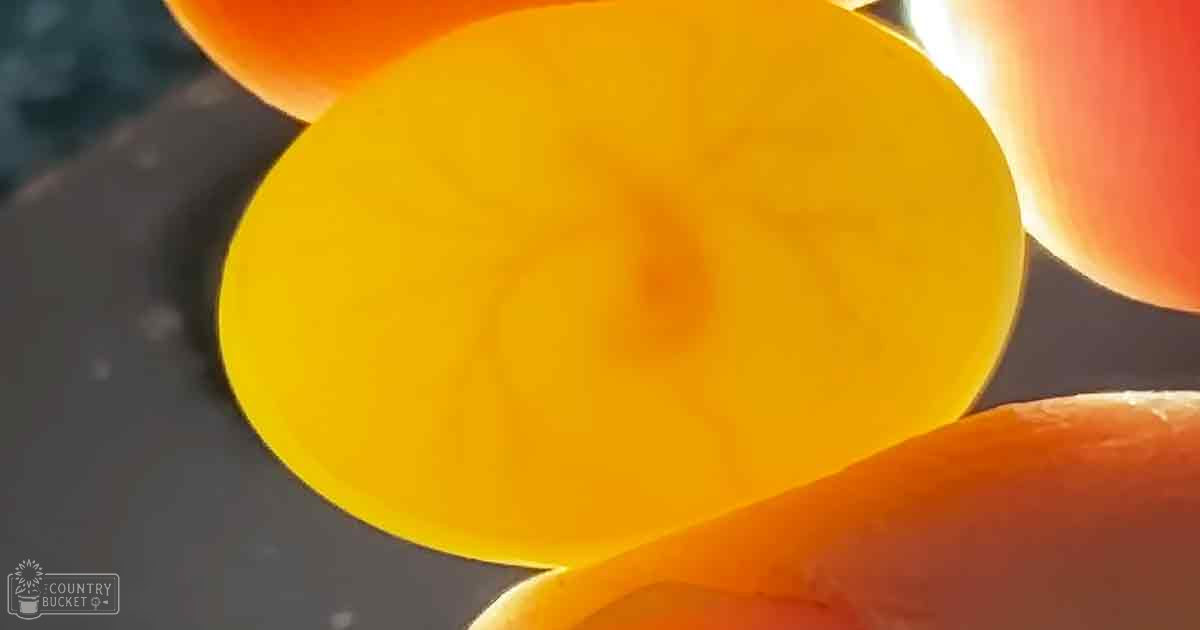 Close-up of fresh sliced carrots against a dark indoor backdrop.