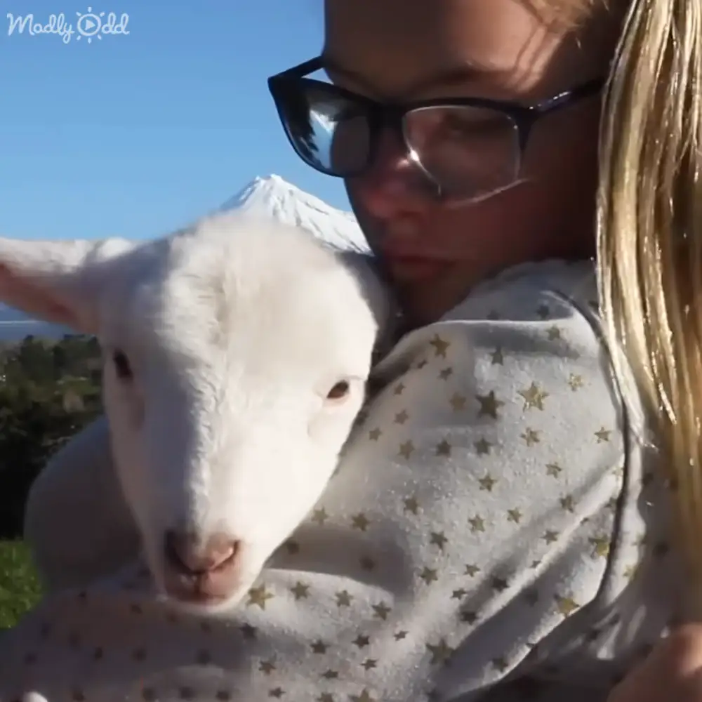 A young girl holds a lamb outdoors in a rural setting with clear blue skies and snow-capped mountains in the background, suggesting late autumn or winter.