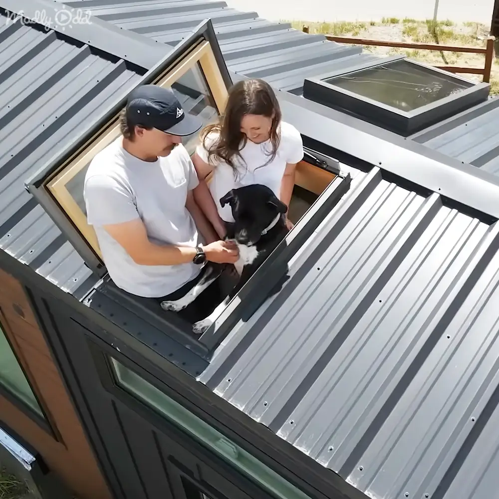 A man wearing a white T-shirt and a black baseball cap stands with an adult female, both on a sandy roof near grassy terrain. A dog with black and white markings is present.
