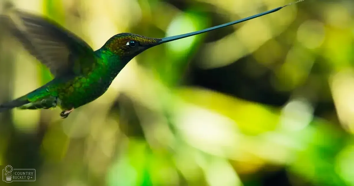 A hummingbird perched amidst lush green forest foliage, vibrant green plumage and slender beak, daytime natural sunlight filtering through trees.