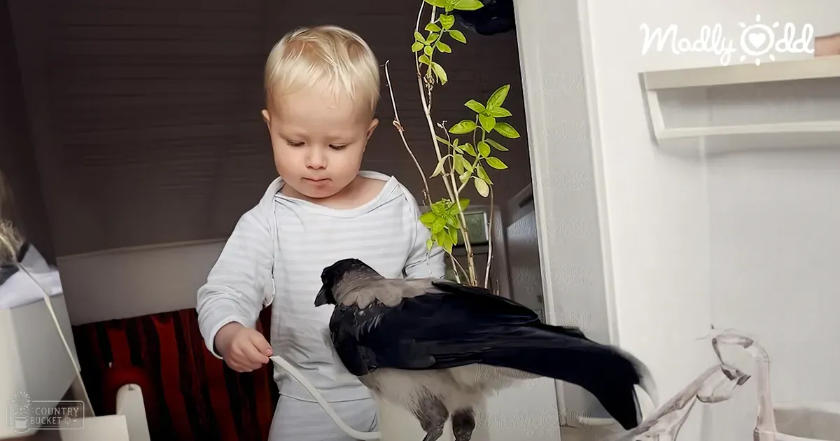 A toddler wearing a light gray long-sleeved shirt with horizontal stripes, standing indoors near household items under natural lighting.