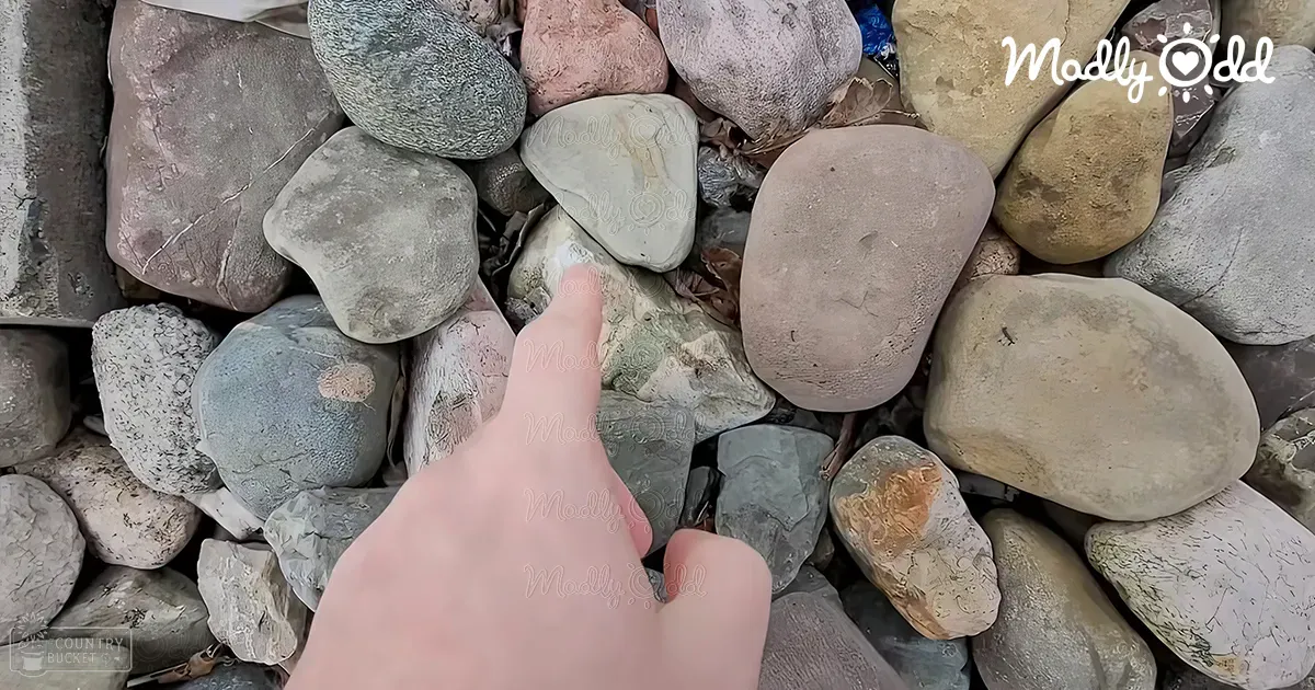 A finger points at a specific rock in an outdoor scene near rocks, possibly by a river or beach with 'Madly Odd' text nearby.