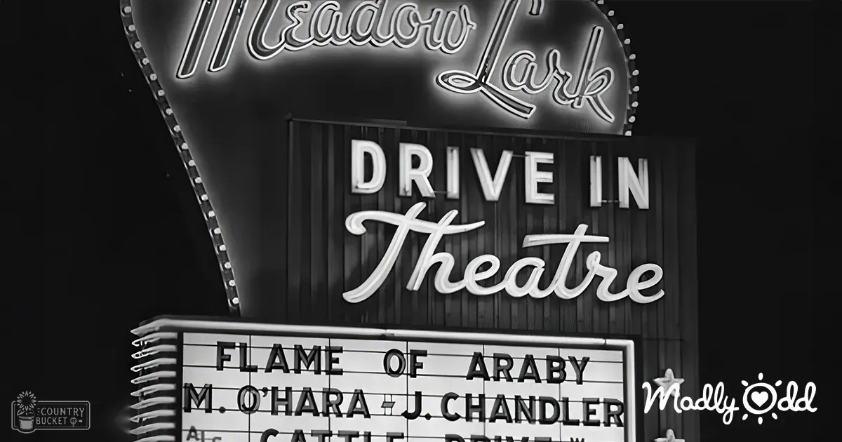 Meadow Lark Drive-In Theatre sign at night with 'FLAME OF ARABY' and names, dark background suggesting nighttime.