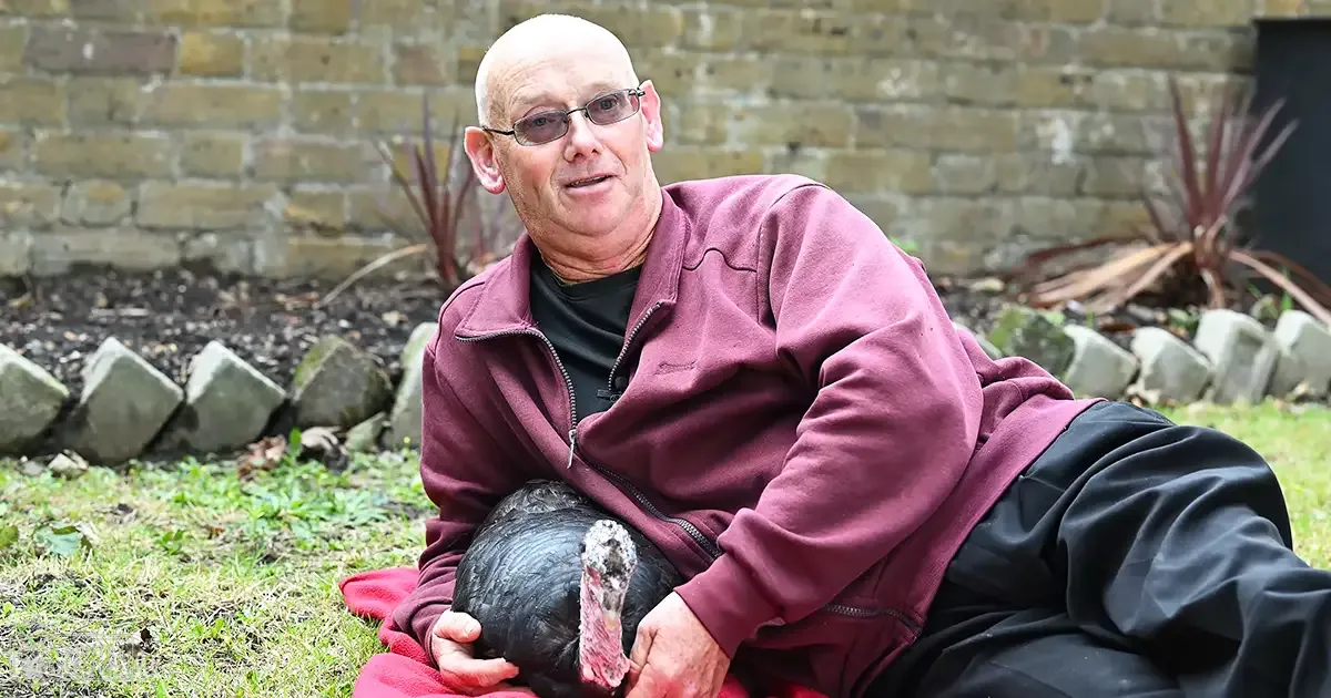 An older adult male in a maroon zip-up jacket over a black high-collar shirt stands amidst an outdoor garden setting with a turkey nearby, under daytime lighting.