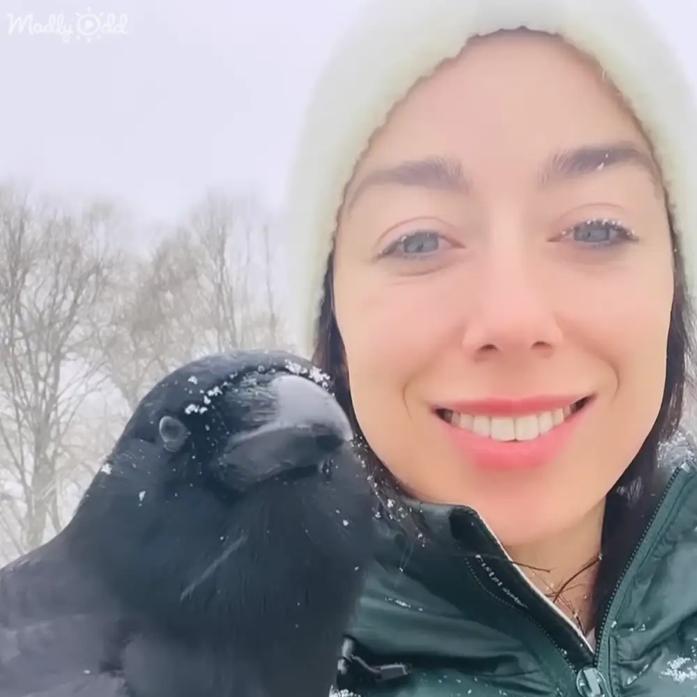 A young adult female wearing a dark green jacket and a black bird in an outdoor winter setting with snow on the ground.