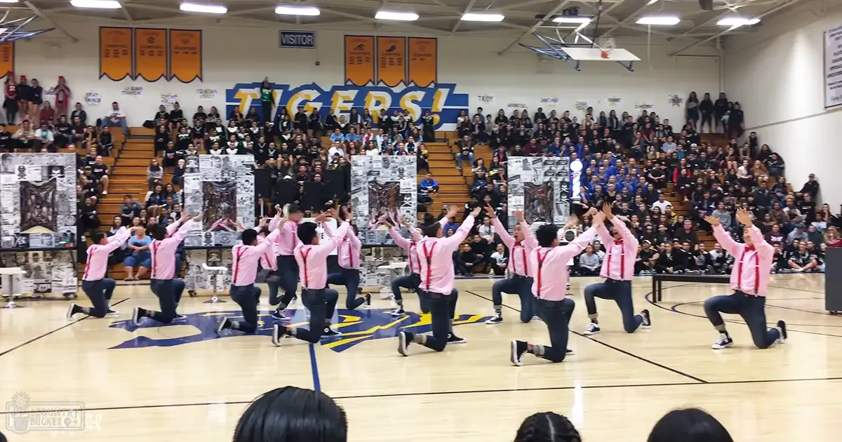 A dance group in pink button-up shirts and dark blue pants performs on a gymnasium floor with bleachers filled with spectators, banners reading "TIGERS!" hang from the walls.