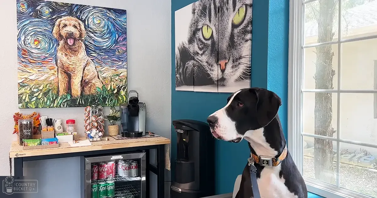 A black-and-white dog with a collar sits near a window in a home setting with a tabby cat painting on the wall and various kitchen items like a refrigerator stocked with soda cans.