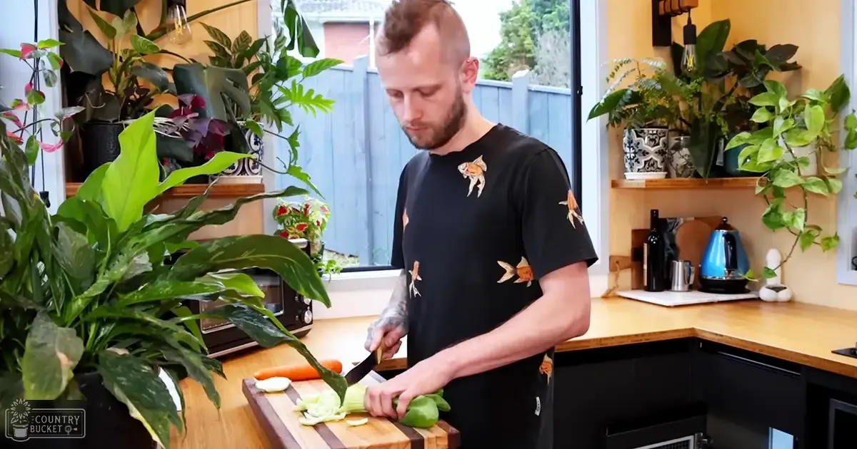 Young adult male in a kitchen with green plants and natural daylight.