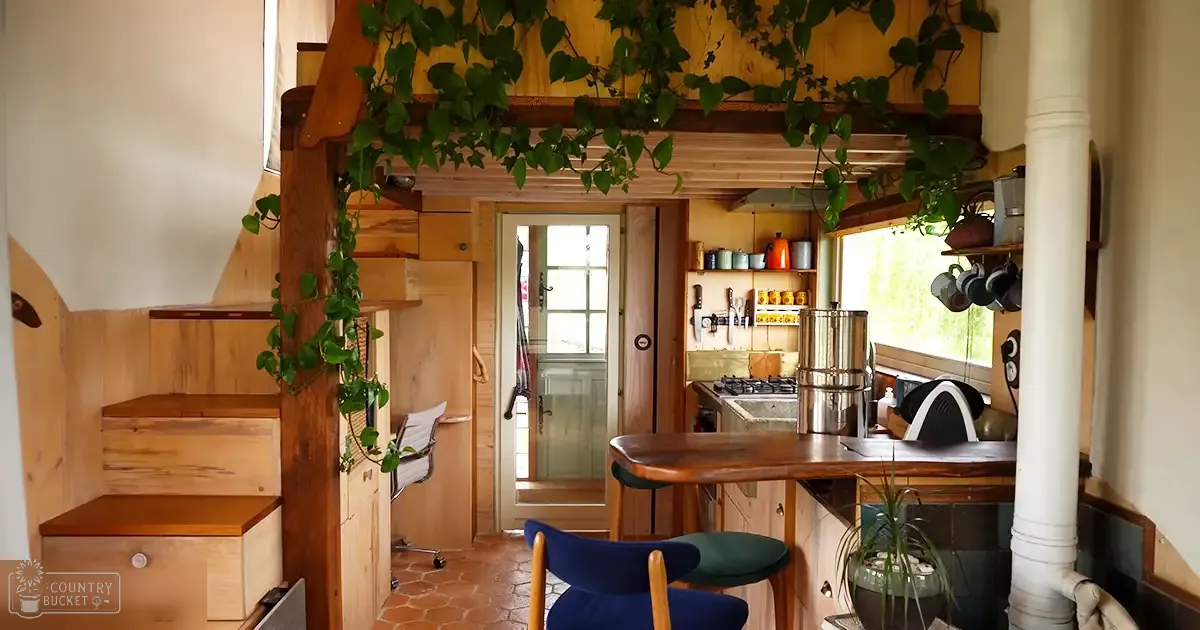 A rustic home interior with wooden furniture and greenery in a likely rural or suburban setting during spring or summer, illuminated by natural light.