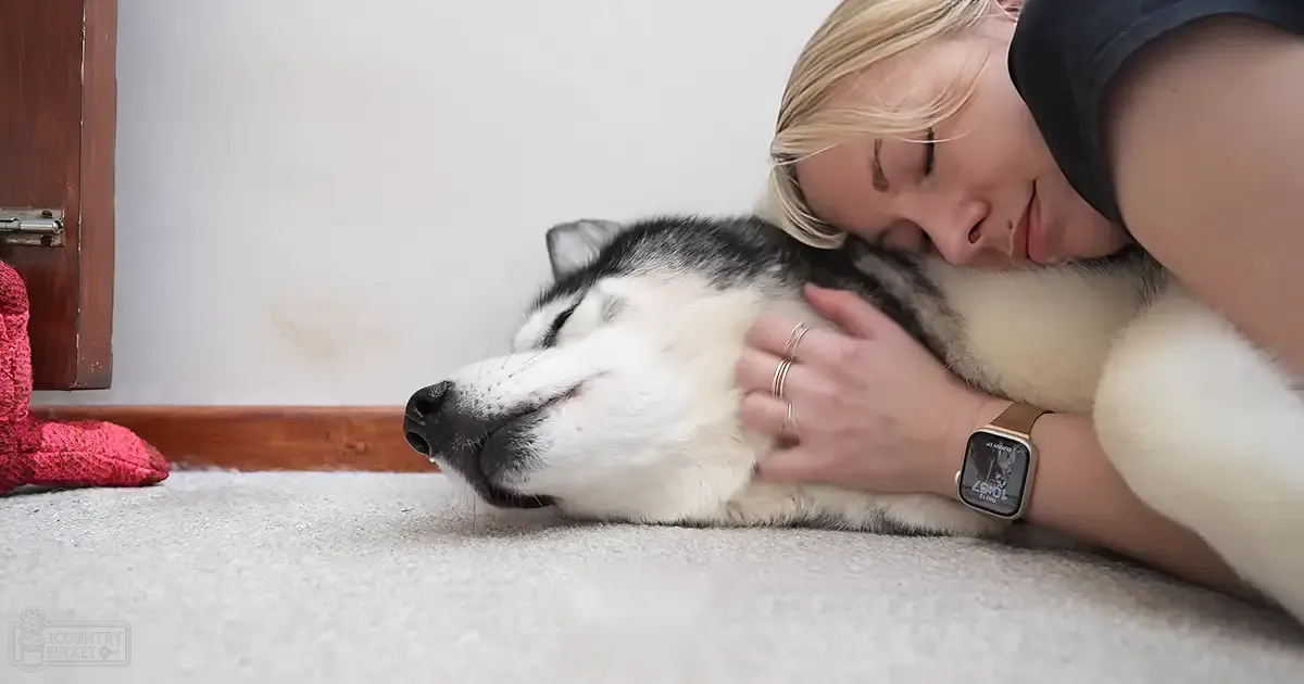 An adult female with blonde hair wearing a dark sleeveless top, rings, and smartwatch lies down next to her husky dog in an indoor setting with neutral-colored walls and carpeting. The scene is softly lit, suggesting daytime or early evening.
