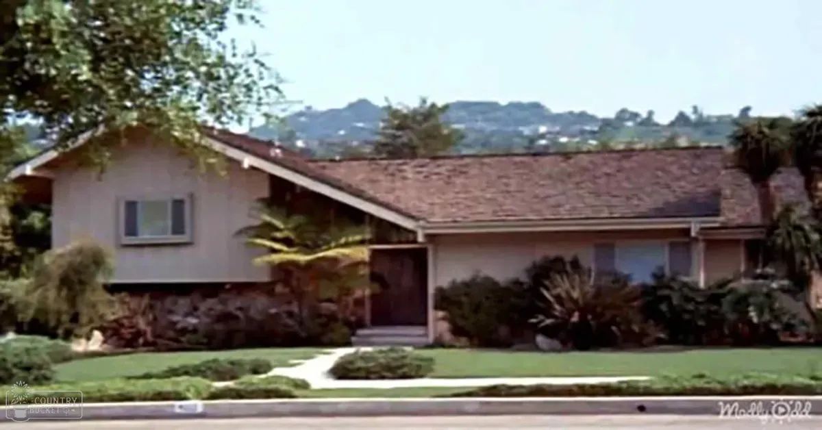 A single-story suburban house with a sloped roof in a residential neighborhood surrounded by greenery and palm trees under clear blue skies.