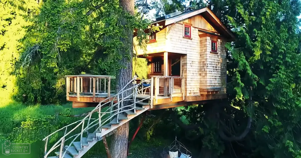 A wooden spiral-staircase treehouse in a lush forest setting with soft late afternoon light.