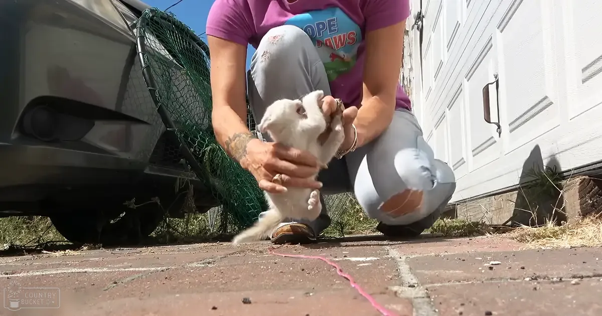 Adult female holding a small white ferret outdoors near a vehicle on paved bricks with green netting and clear daylight.
