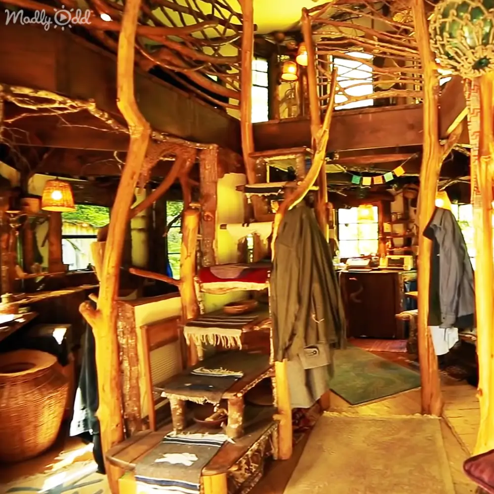 A cozy rustic treehouse interior with wooden furniture resembling tree branches and trunks, natural light streaming through large windows on a sunny day.
