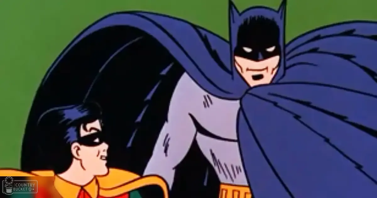 Batman and Robin from an animated series, set outdoors with a green background suggesting grass or foliage.