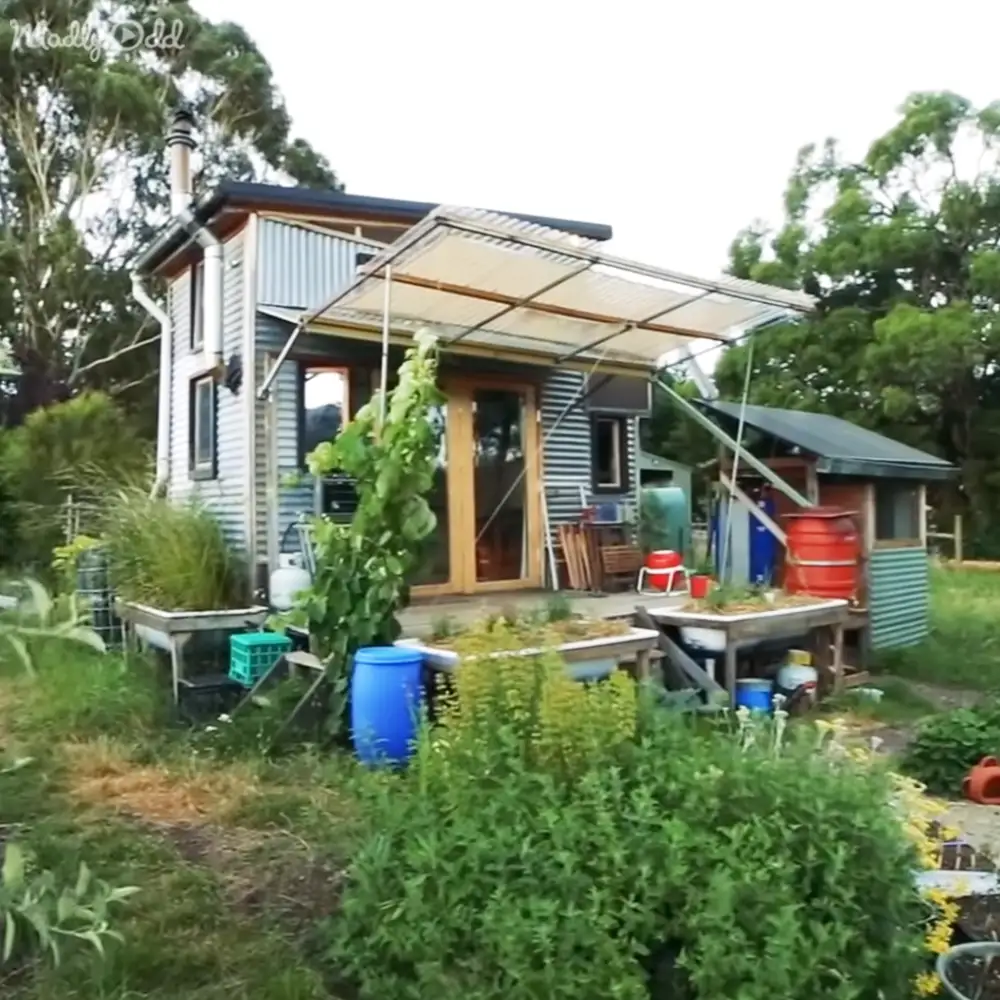 A rural scene with a small house, awning, barrels, gardening tools, raised garden beds, and trees on a soft light day.