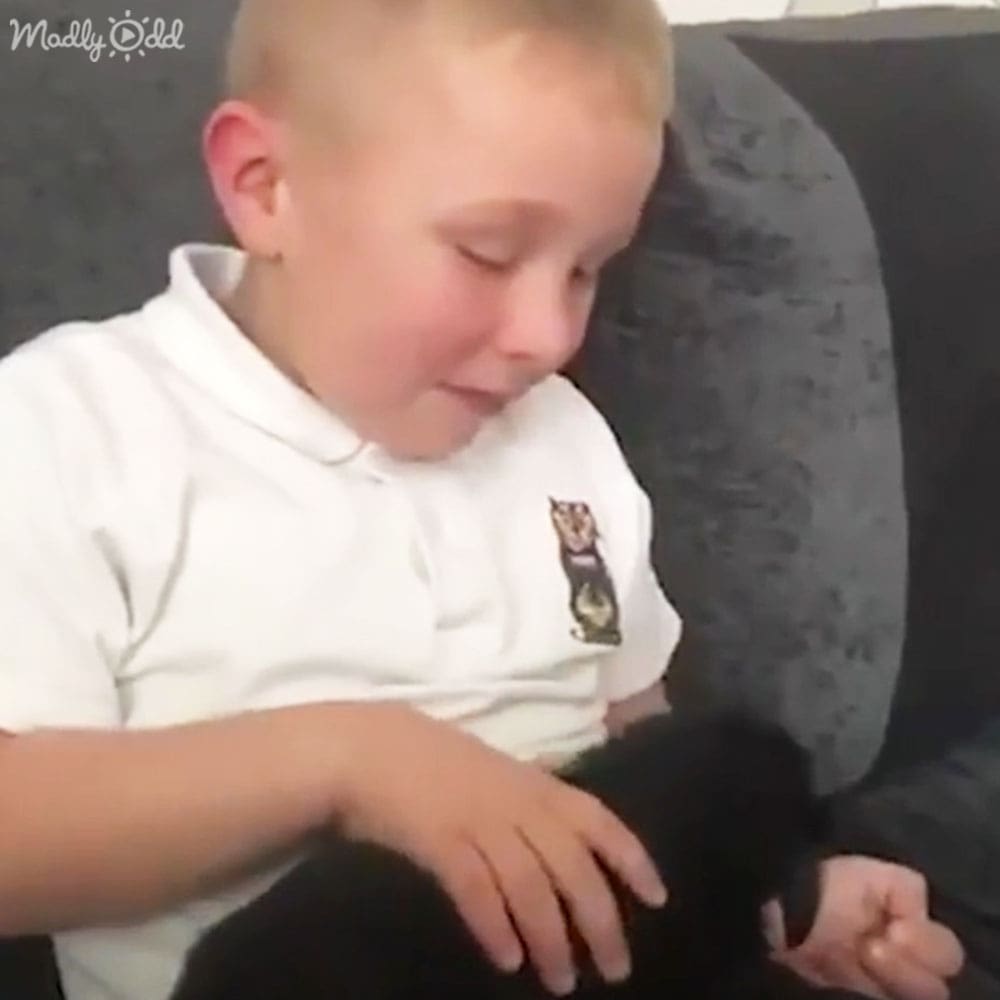 A toddler in a white polo shirt sits indoors near a dark-colored couch, bathed in natural light.