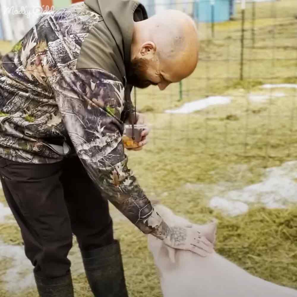 A man in a camouflage-patterned jacket interacts with a juvenile piglet in an outdoor farm setting with patches of snow or frost.