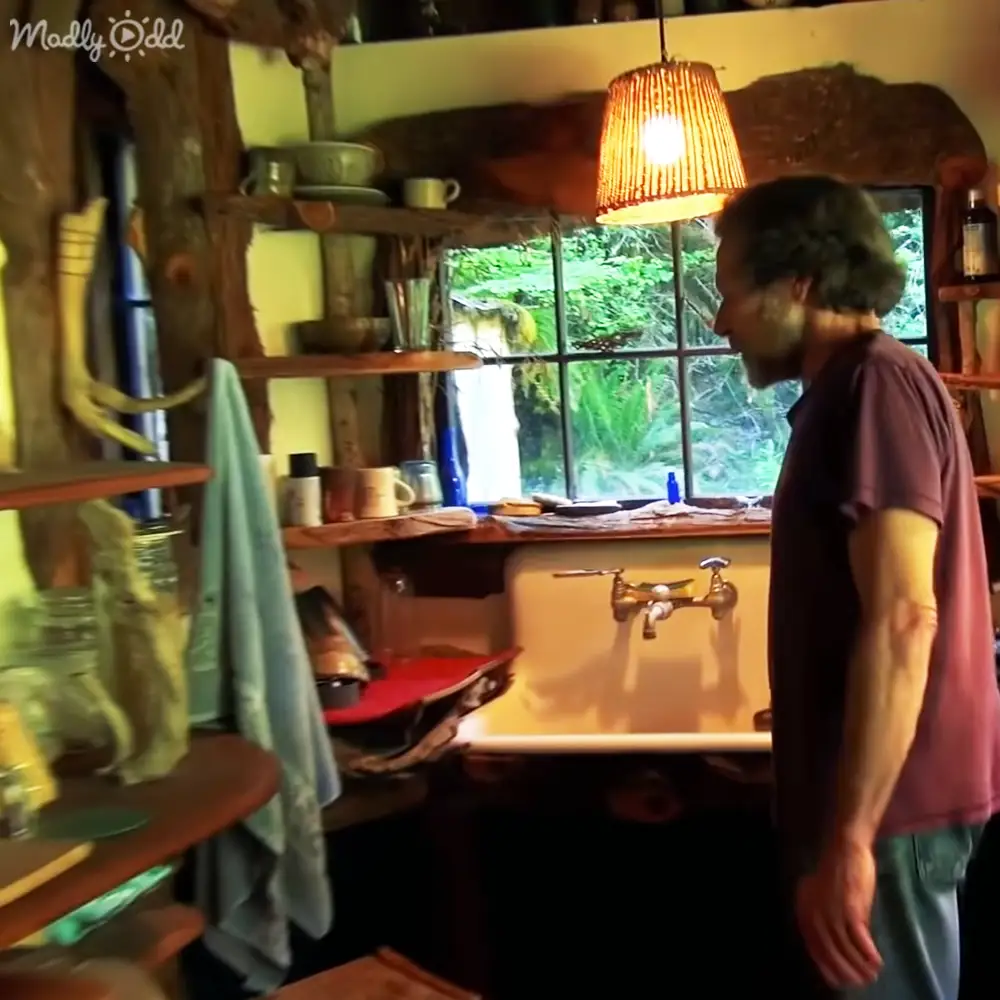 A middle-aged adult male wearing a maroon t-shirt in a rustic indoor setting with greenery visible through the window.
