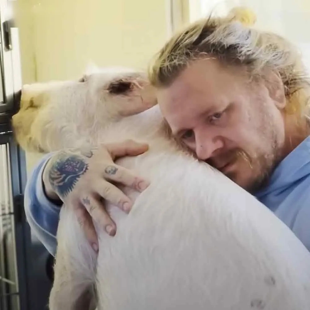 An adult male hugging a white Golden Retriever in what appears to be a veterinary clinic, with medical equipment and 'Madly Odd' signage visible.