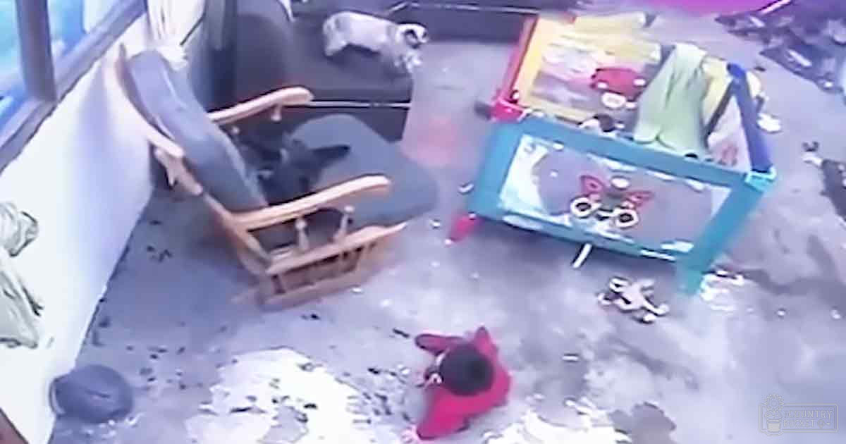 A light-colored puppy in a child's room filled with toys and furniture.