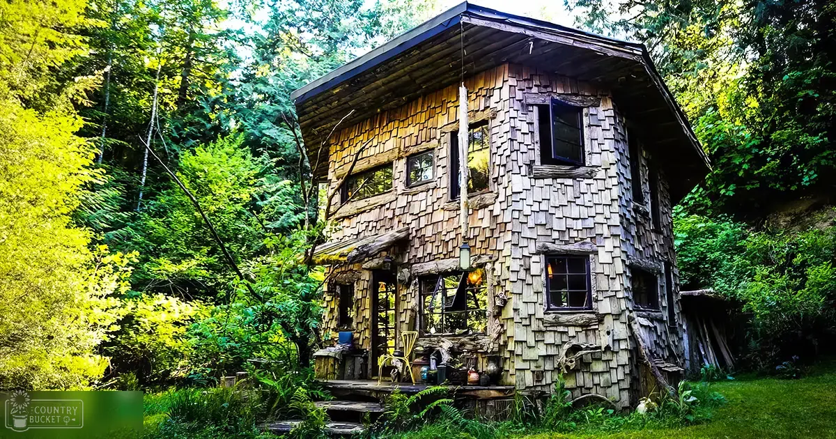 A two-story rustic wooden cabin in a lush forested area, surrounded by greenery and furniture on its porch.