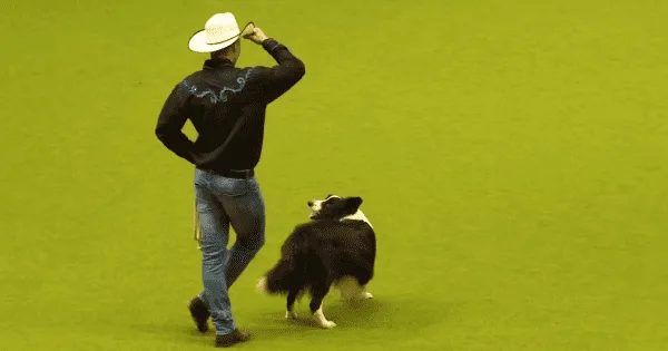 Dog Show Cowboy Dances with Dog