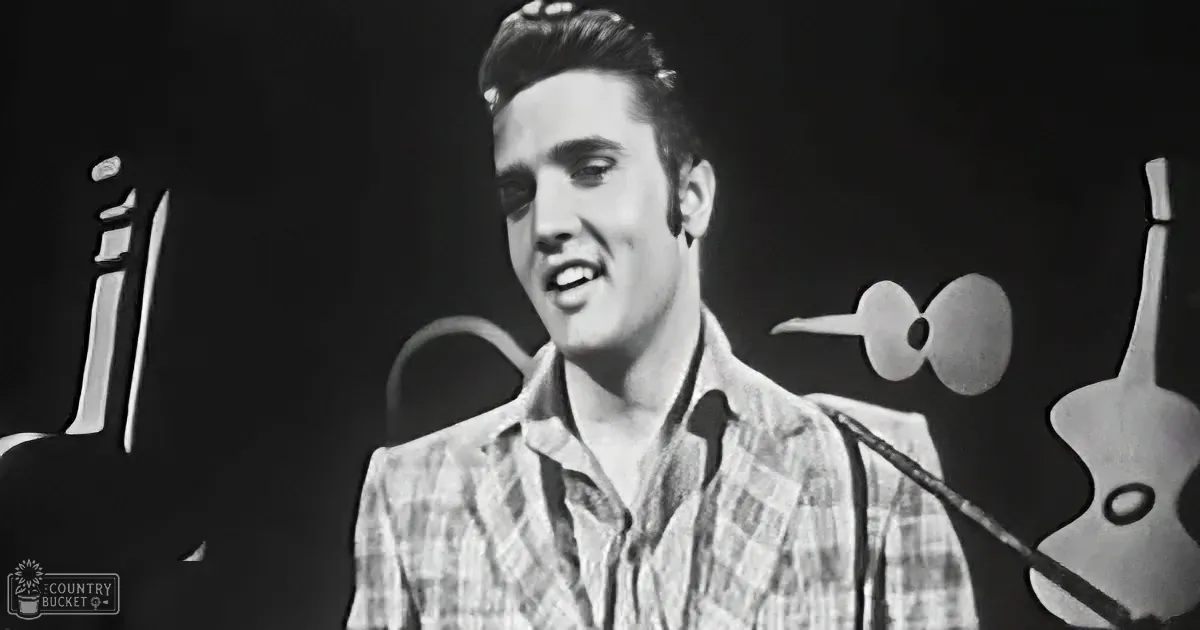Elvis Presley in a plaid suit, smiling, with a microphone and guitar in the background.
