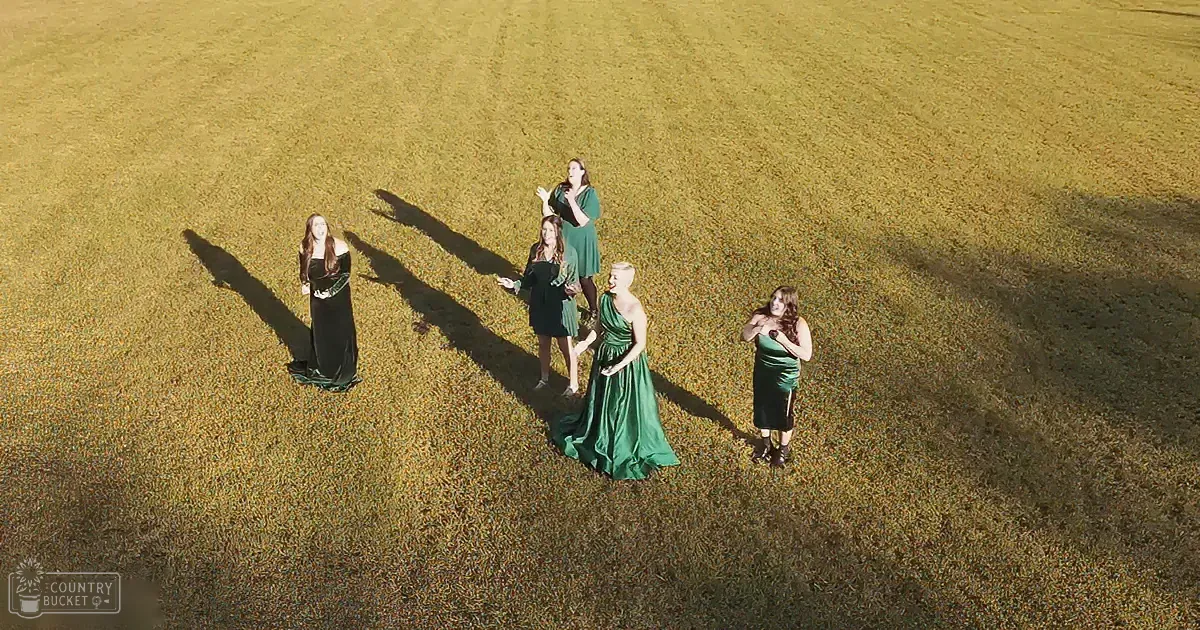 Five women in green dresses stand in a grassy field, bathed in sunlight.