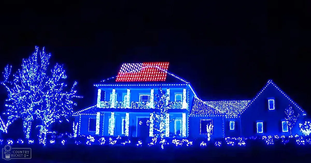 This Home's Christmas Display Lets Go With Lights and a Hit Song
